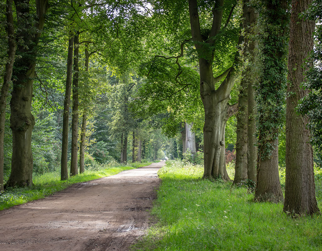 De Grote Allee