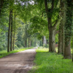 De Grote Allee