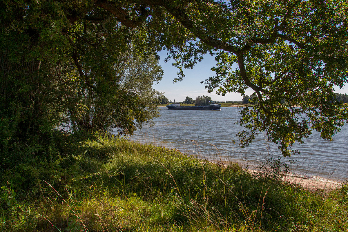 Struinen Over Landgoed Loenen En Door De Loenensche Buitenpolder (5,5 Km)