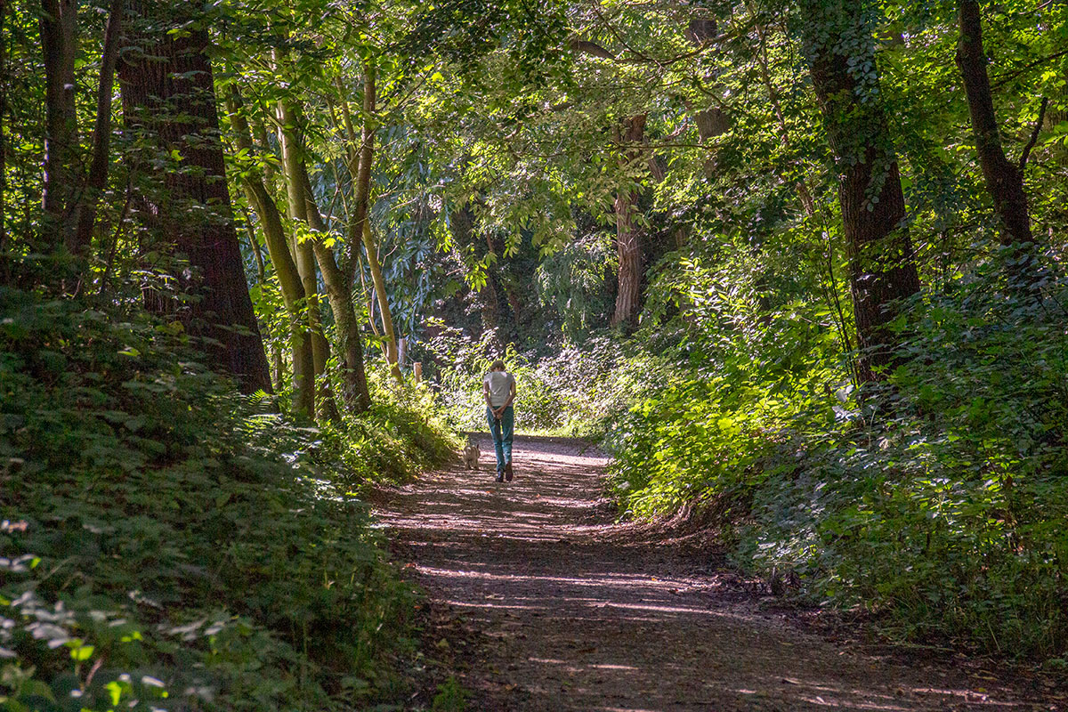 Filosofische Vertragende-verdwaal-wandeling