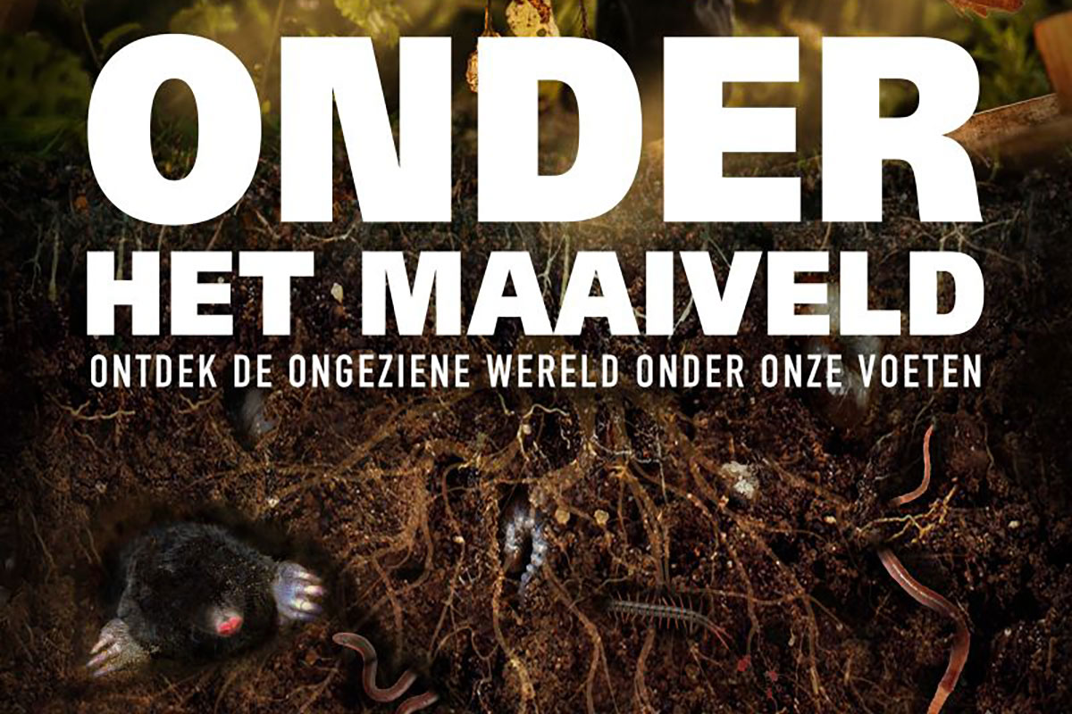 Filmdocumentaire Onder Het Maaiveld