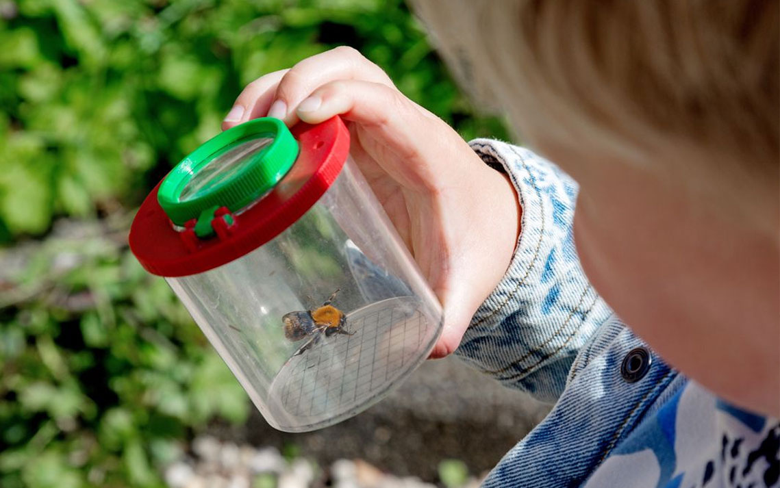 Open Dag Natuur- En Vogelwacht Vijfheerenlanden