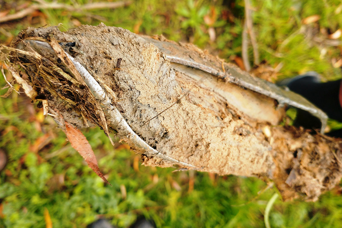 Boetseren Met Beuningse Klei