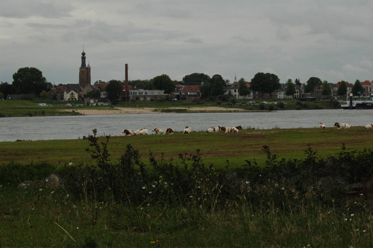 Lezing Over Ontstaan Rivierengebied