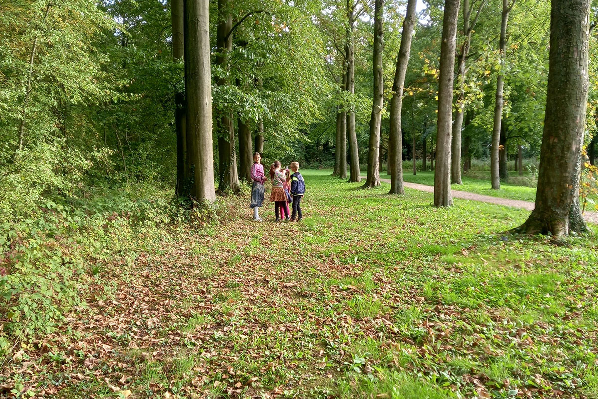 Herfstspeurtocht Voor Kinderen In Zoelense Bos