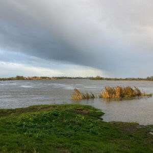 Lek Bij Culemborg
