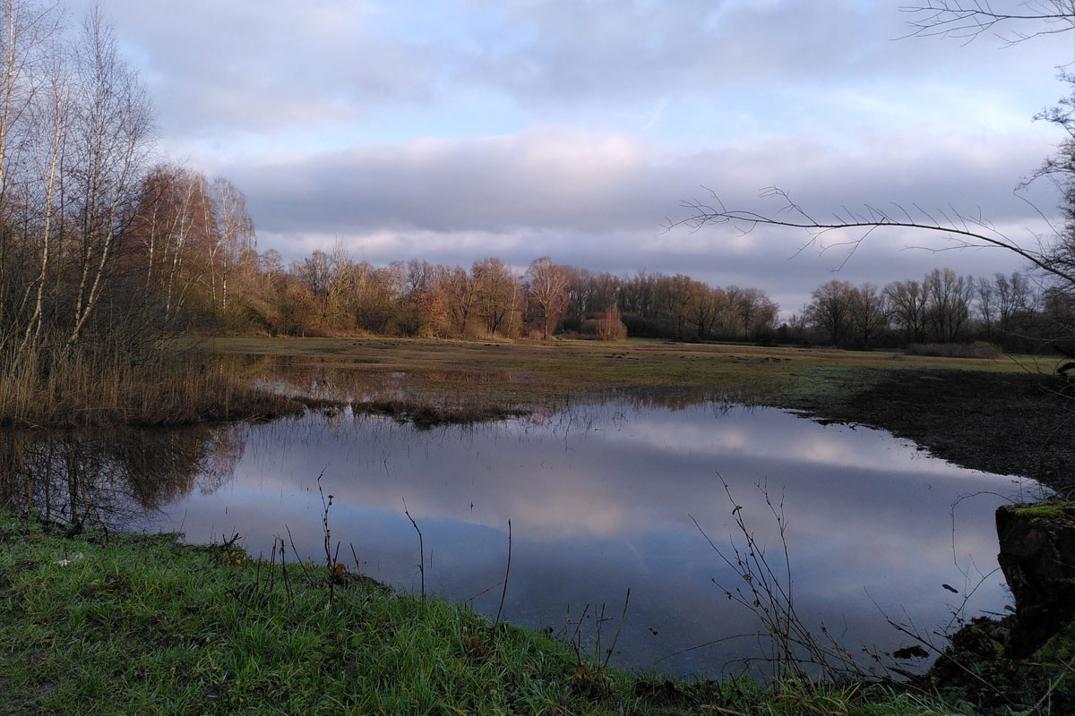 Wandeling In Unieke Tichelgaten Van Buren