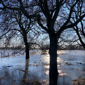 Hoogwater03