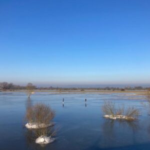 Hoogwater04