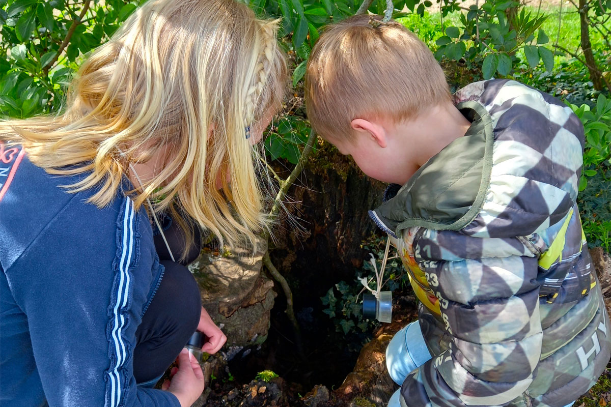Lentespeurtocht Voor Kinderen In Zoelense Bos