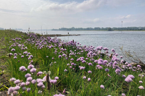 Struintocht Zaltbommel – Tiel