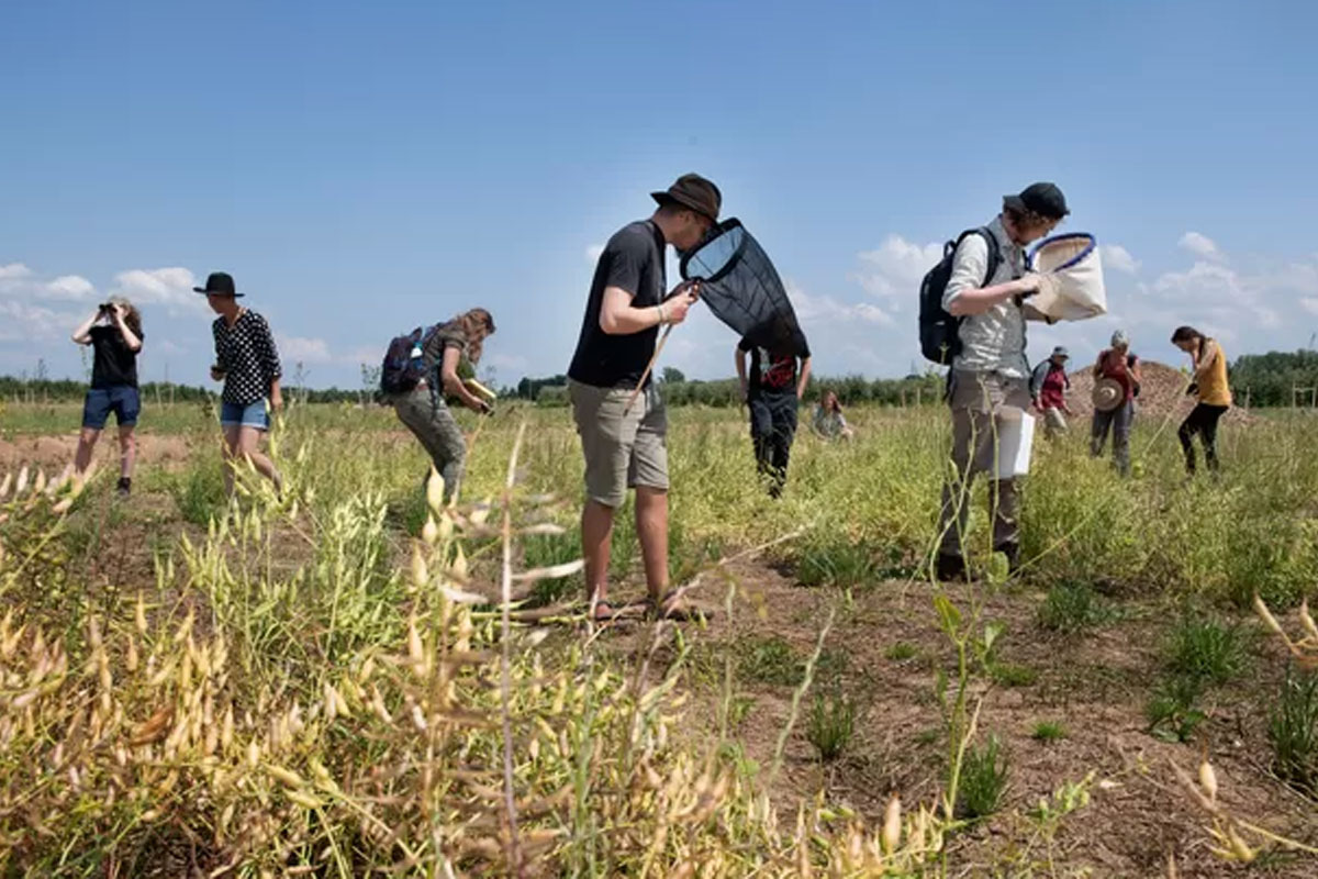 BioBlitz In Voedselbos Lingehout