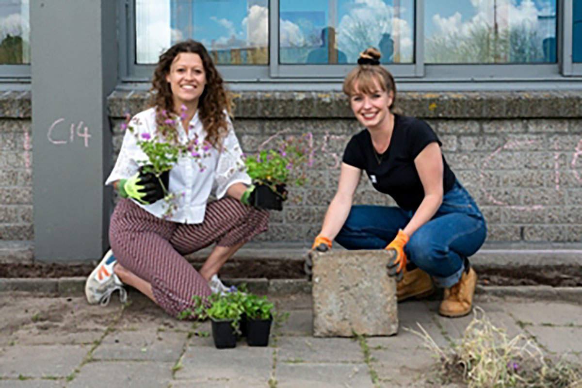 Workshop ‘Tegel Eruit, Welke Plant Erin?’