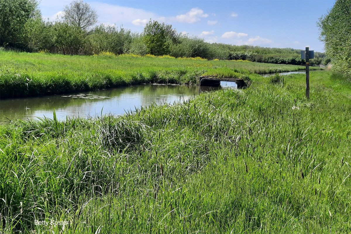 Wandeling In Natuurgebied De Vretstrooi