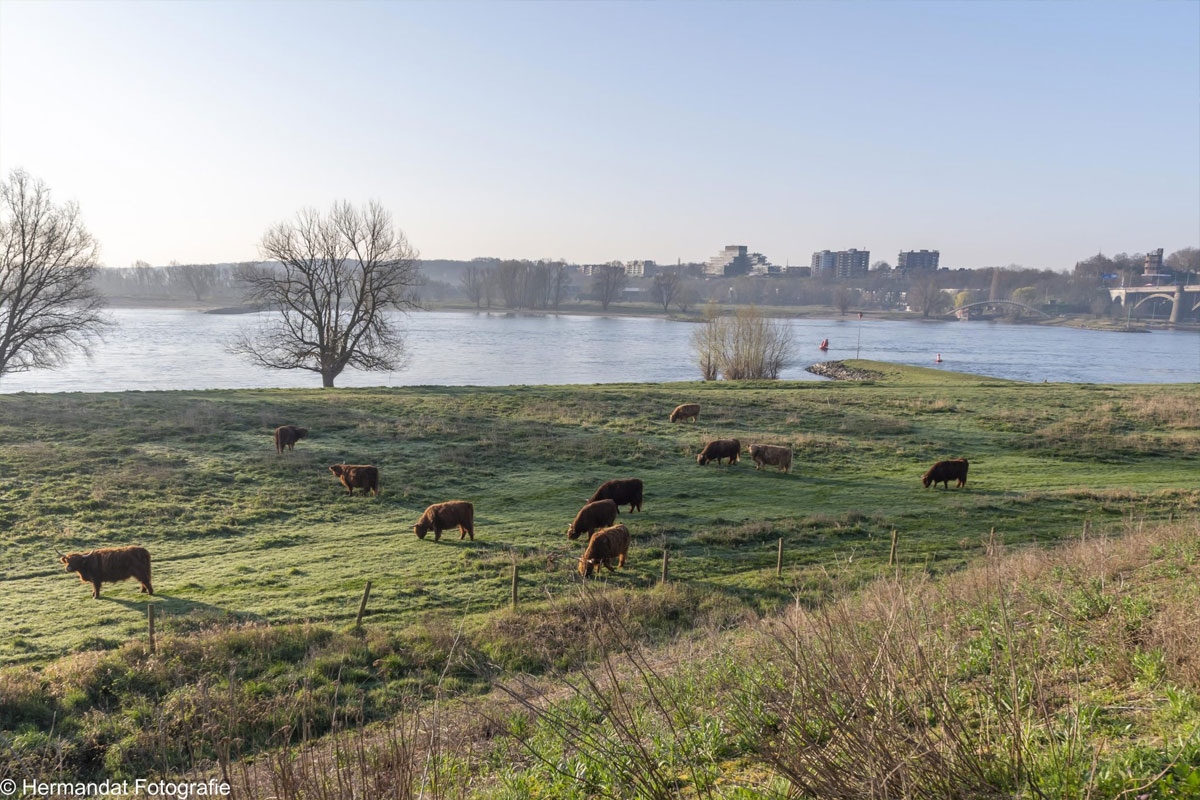 Wandeling Door De Uiterwaarden Bij Lent