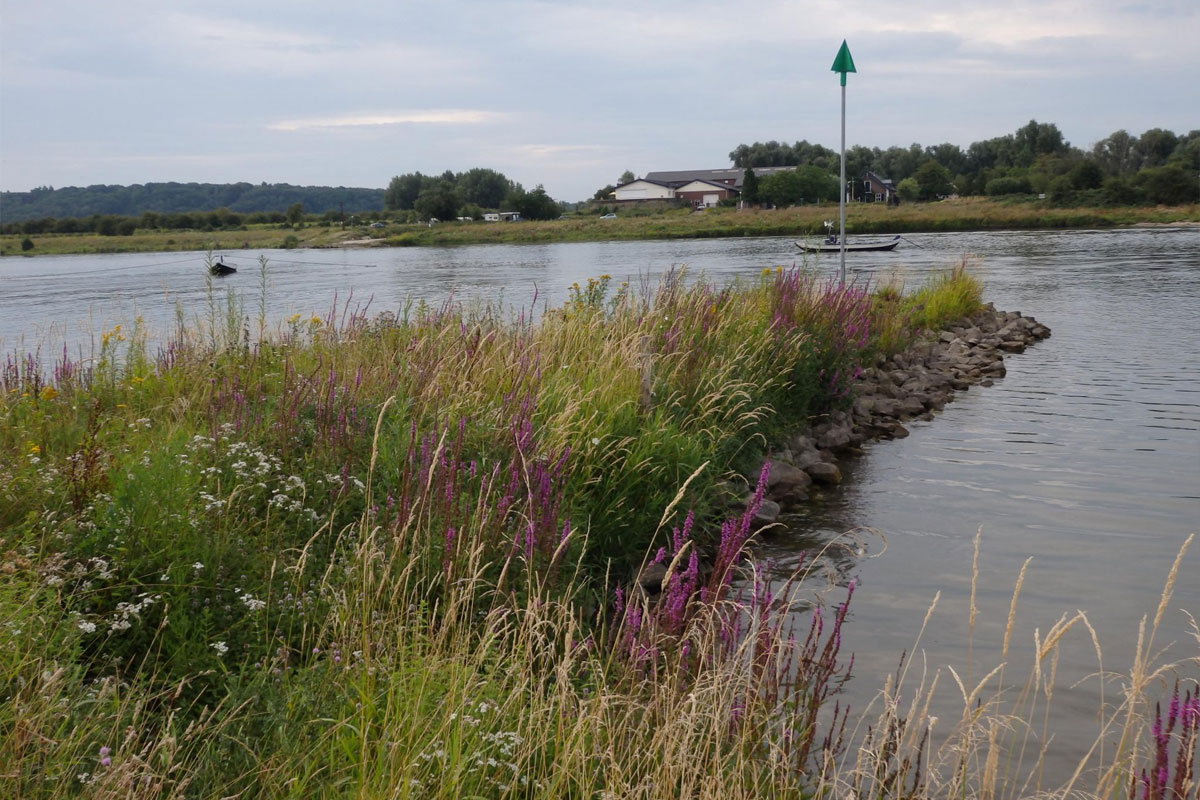 Wandelen Langs De Rijn In Maneswaard