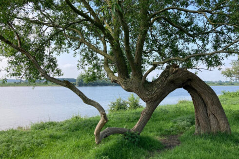 Volop Ontwikkelingen Bij De Struingids