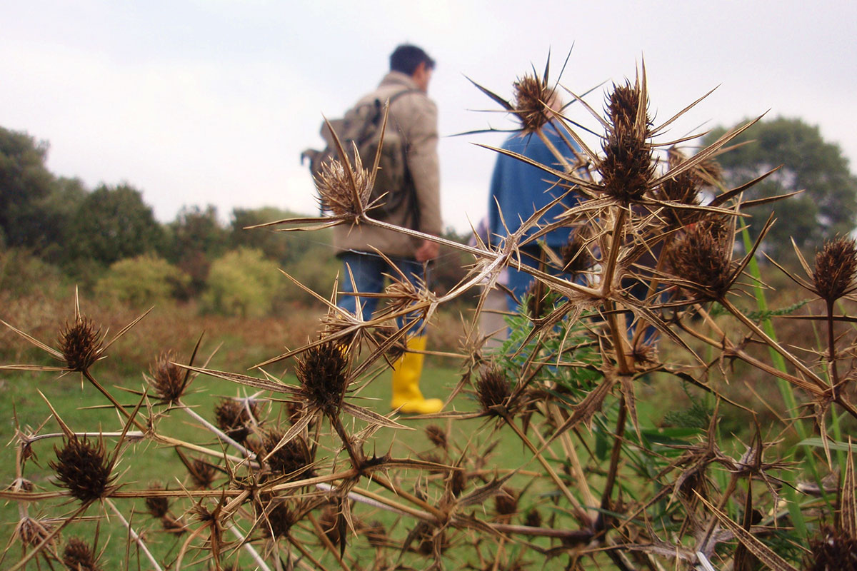 Waalwoemi: Herfststukjes Maken