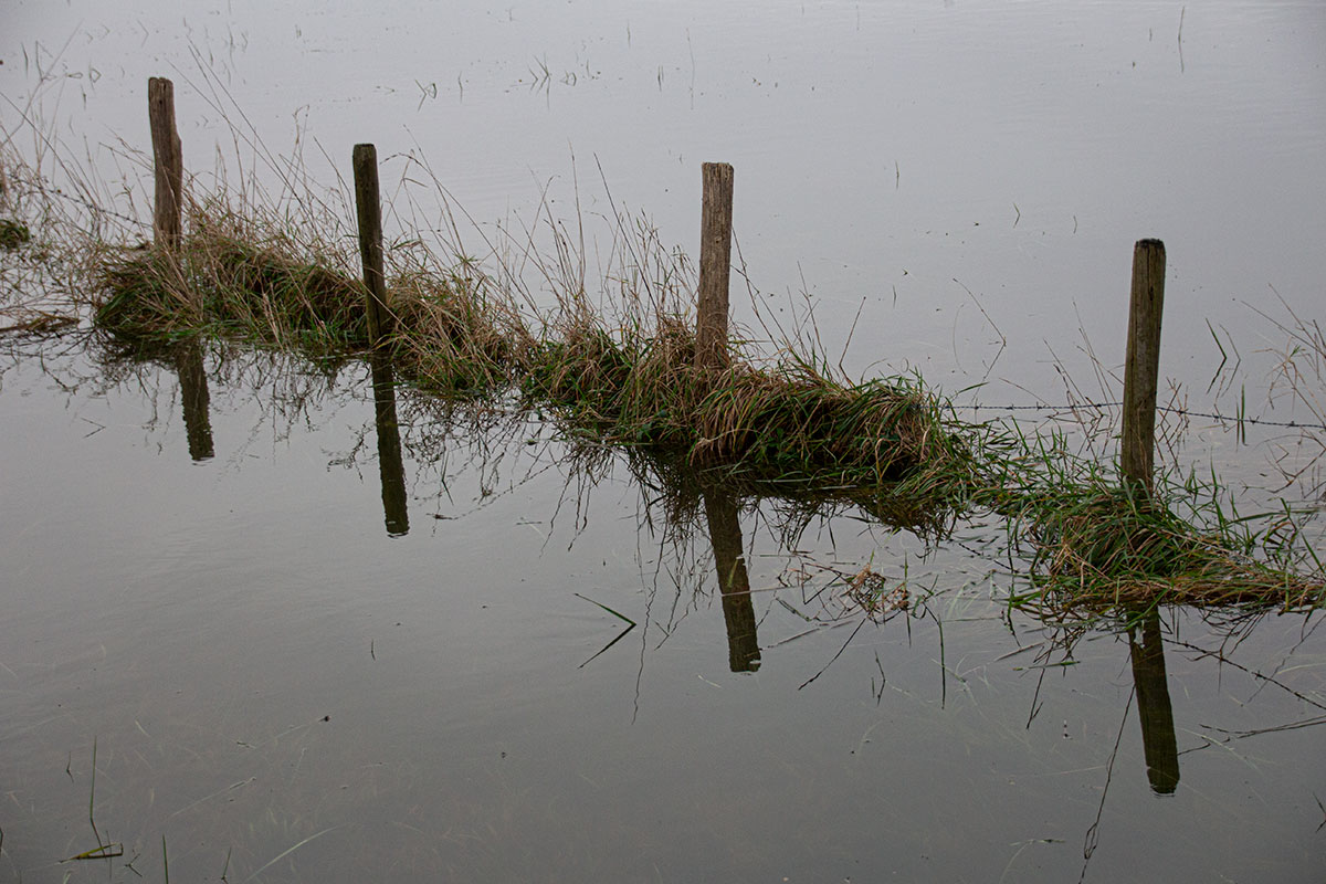 Struinen Door De Leeuwense Waard En Wintergasten Ontmoeten