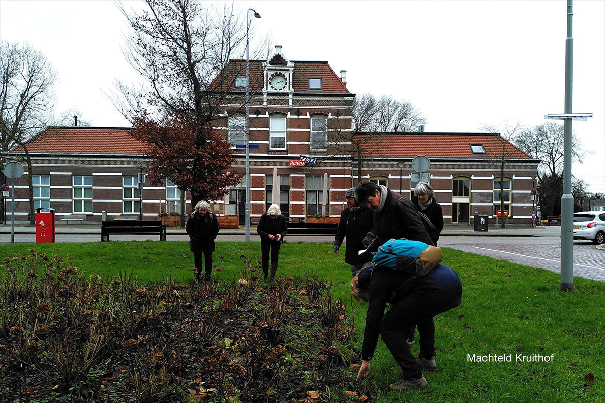 Op Zoek Naar Winterbloeiers In Tiel