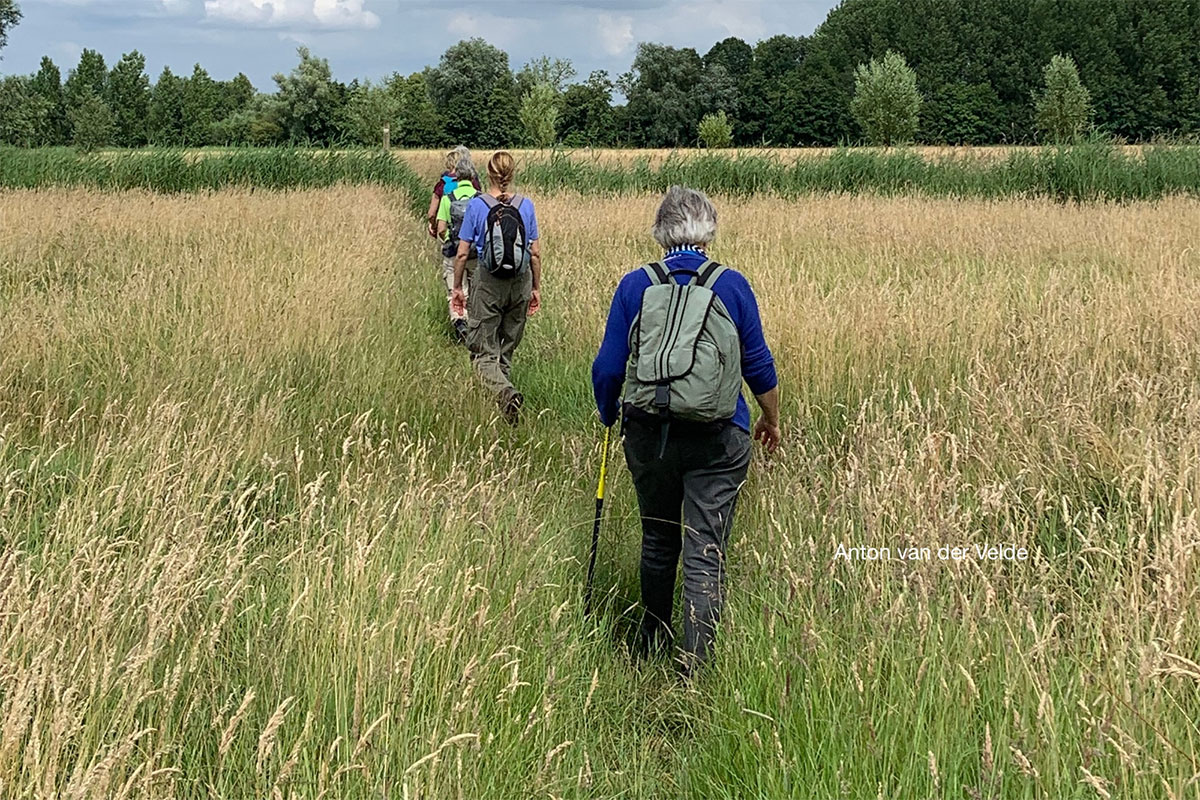 Excursie Klompenpad Leidsche Hoeven Met IVN-natuurgids