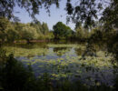 Natuurparel: De Blommenwaard In De Hurnse Kil