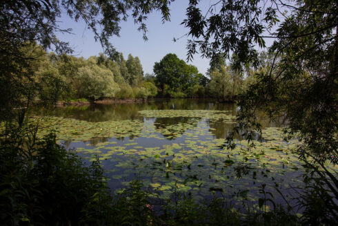 Natuurparel: De Blommenwaard In De Hurnse Kil