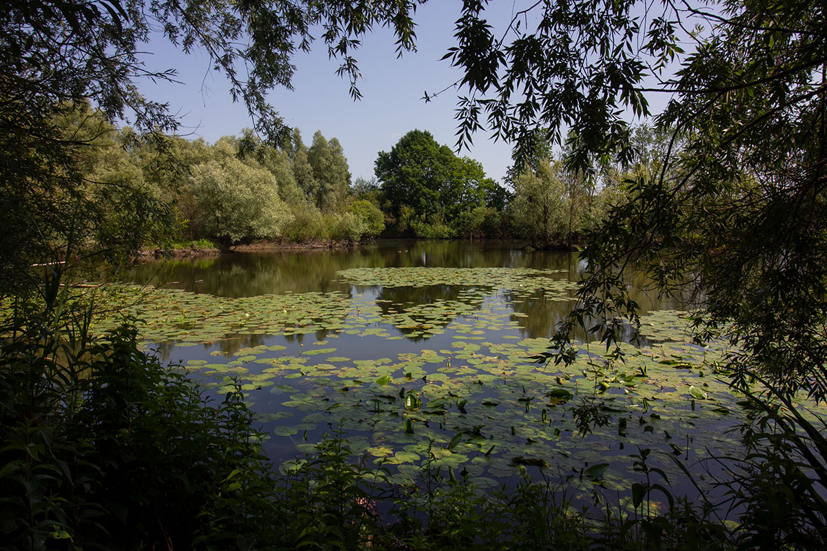 Natuurparel: de Blommenwaard in de Hurnse Kil
