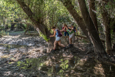 Struinroute Heesseltsche Uiterwaarden
