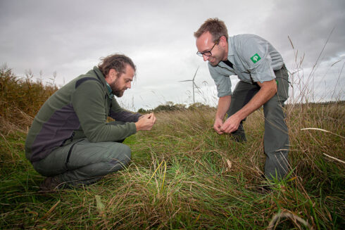 ’t Broek Waardenburg, De Ruige Hoek Van West Betuwe