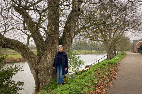 Meer Walnoten In De Betuwe?