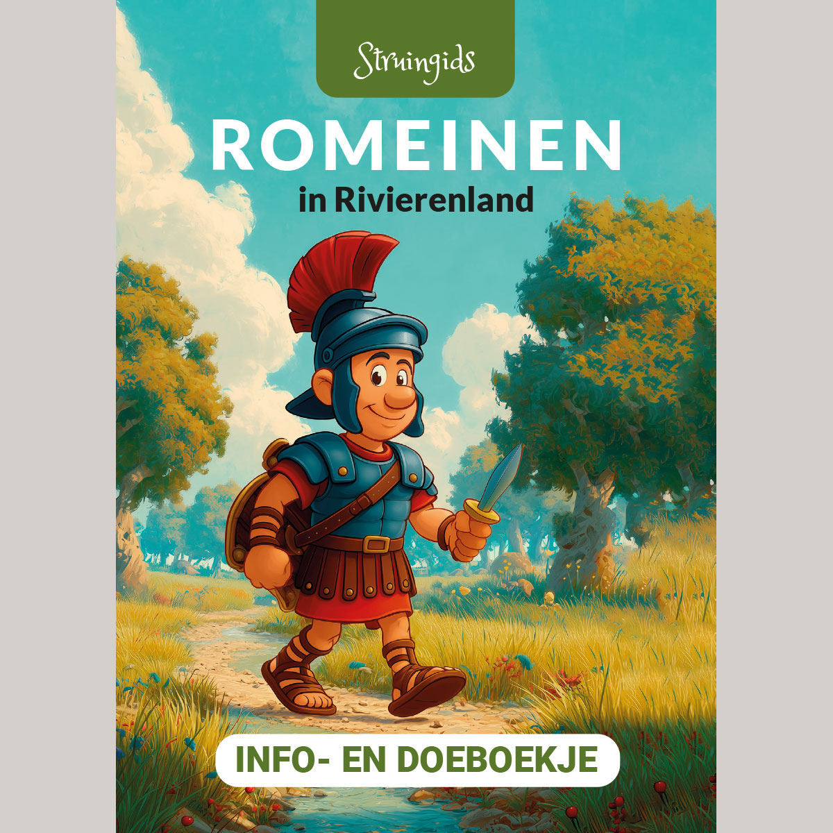 Info- En Doeboekje Romeinen In Rivierenland