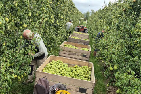 Route-app Voor De Hemertse 8