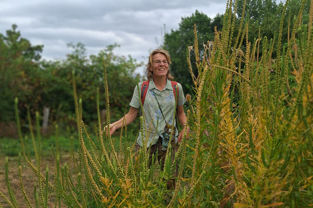 Emmie Nuijen Struingids